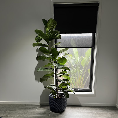 Photo of Geelong Roller Blinds