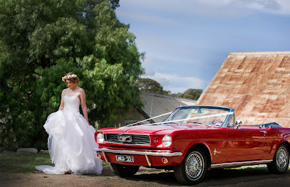 Photo of Mustang & Co.