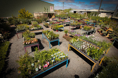 Photo of Spot on Pots and Nursery