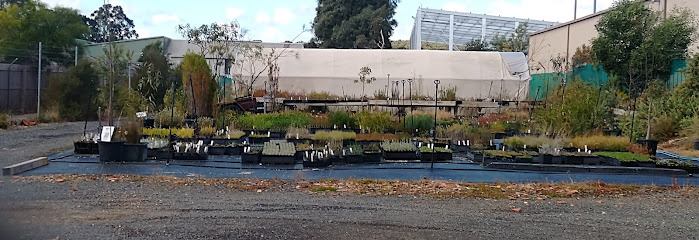Photo of Ballarat Wild Plants