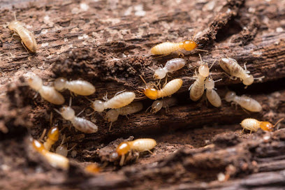 Photo of Verminate Pest Control