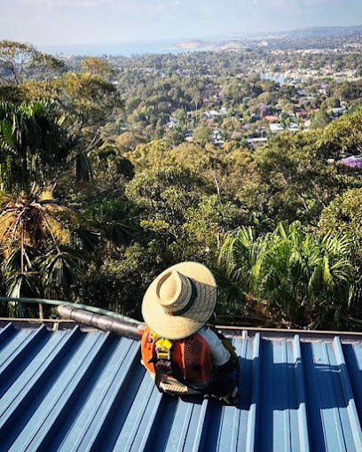 Photo of Sydney Gutter Clean