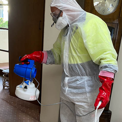 Pest Alert Pest Control Services